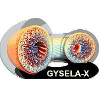 Gysela-X logo